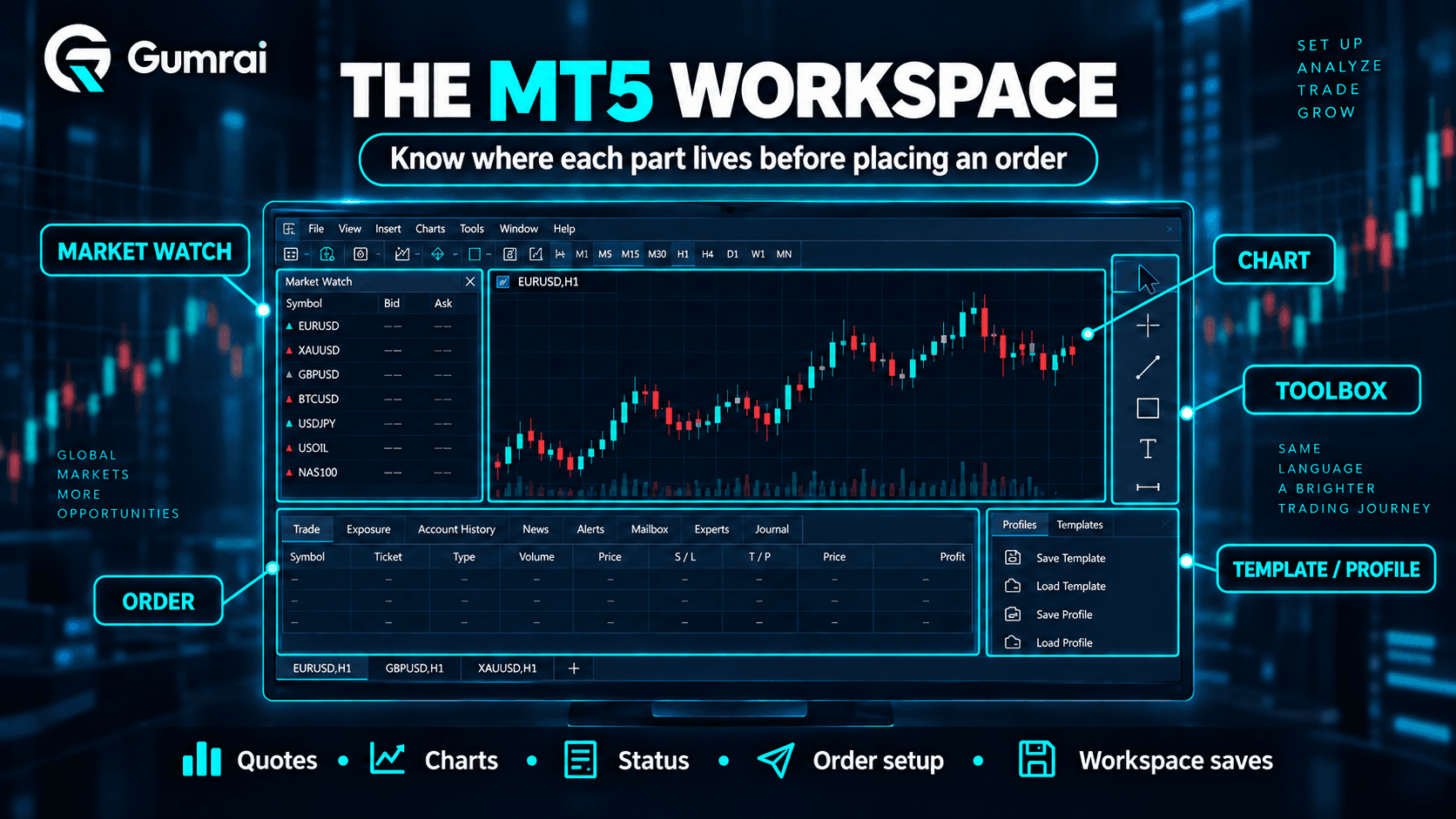 Key parts of the MT5 workspace